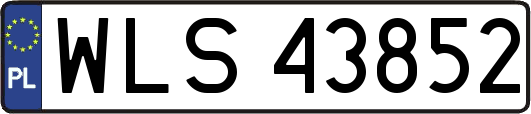 WLS43852