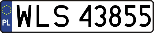 WLS43855