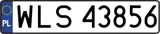 WLS43856