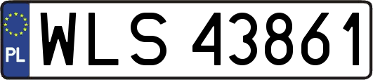 WLS43861