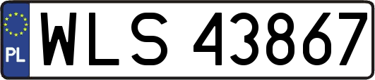 WLS43867