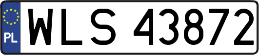 WLS43872