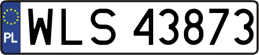 WLS43873