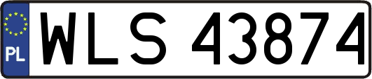 WLS43874