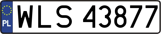 WLS43877