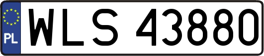 WLS43880