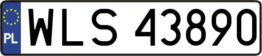 WLS43890