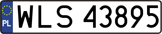 WLS43895
