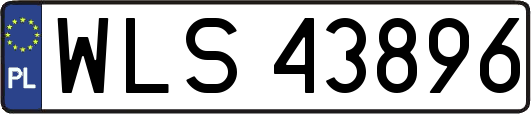 WLS43896
