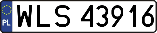WLS43916