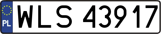 WLS43917