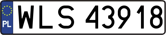 WLS43918