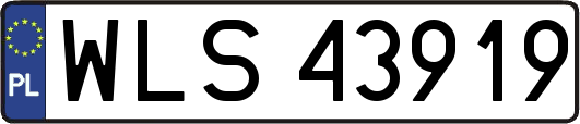 WLS43919