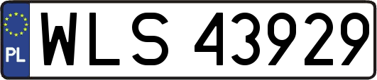 WLS43929