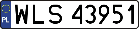 WLS43951