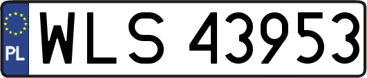 WLS43953