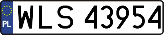 WLS43954