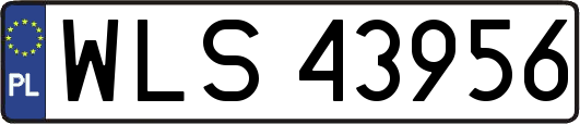 WLS43956