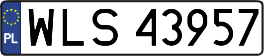 WLS43957