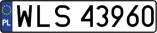 WLS43960