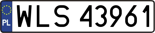 WLS43961