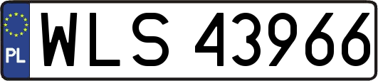 WLS43966