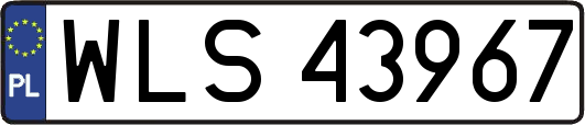 WLS43967