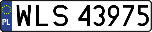 WLS43975