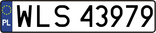 WLS43979