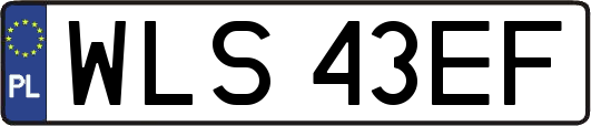 WLS43EF