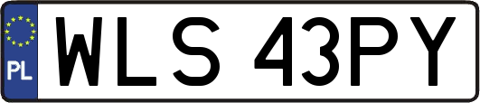 WLS43PY