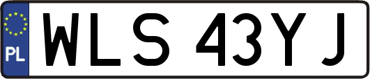 WLS43YJ