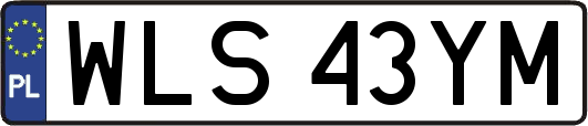 WLS43YM