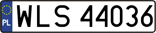 WLS44036