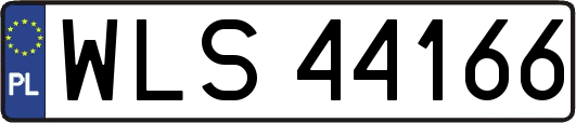 WLS44166