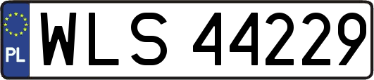WLS44229