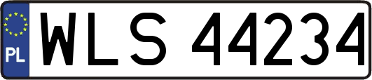 WLS44234