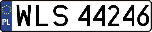 WLS44246