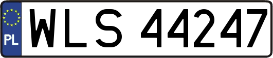WLS44247