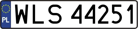 WLS44251