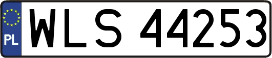 WLS44253