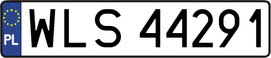 WLS44291