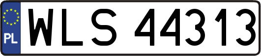 WLS44313