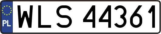 WLS44361
