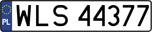 WLS44377