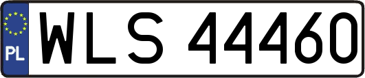 WLS44460