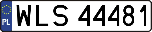 WLS44481