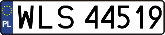 WLS44519