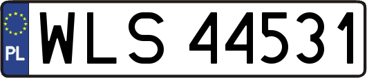 WLS44531