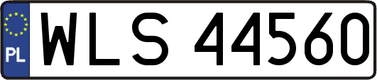 WLS44560